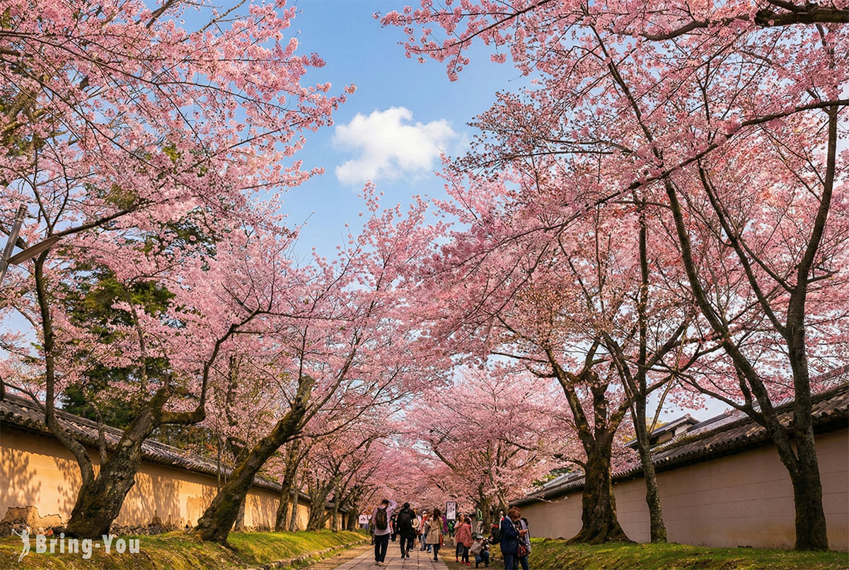 京都景點-醍醐寺