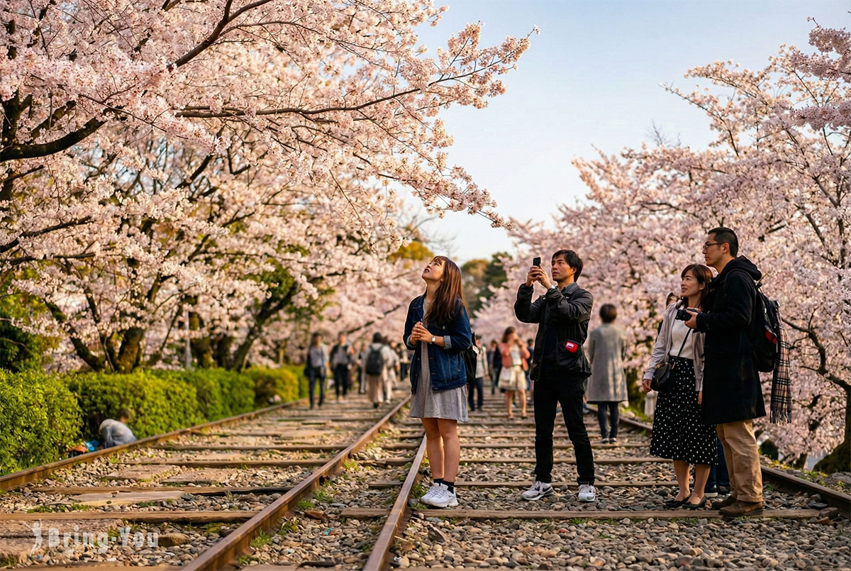京都景點-蹴上鐵道櫻花季廢棄鐵道與兩旁櫻花絕景