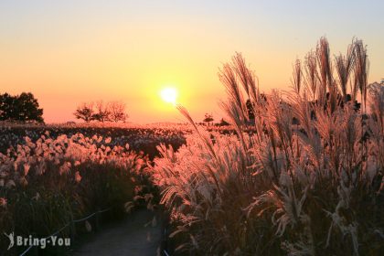 首爾天空公園