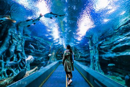 樂天世界水族館