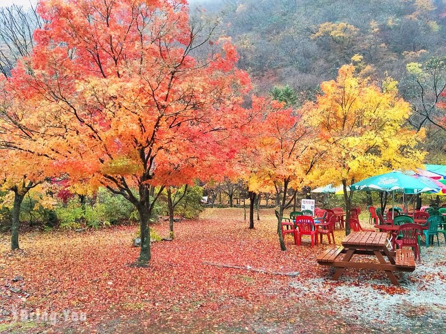 全羅道內藏山