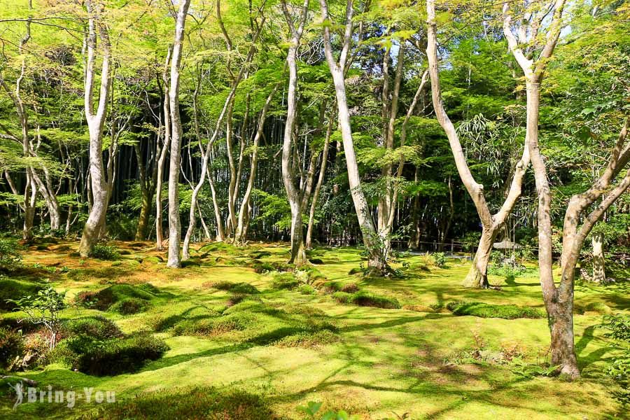 祇王寺
