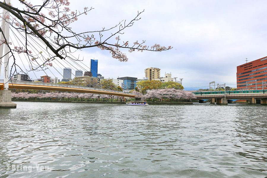 大阪造币局樱花通
