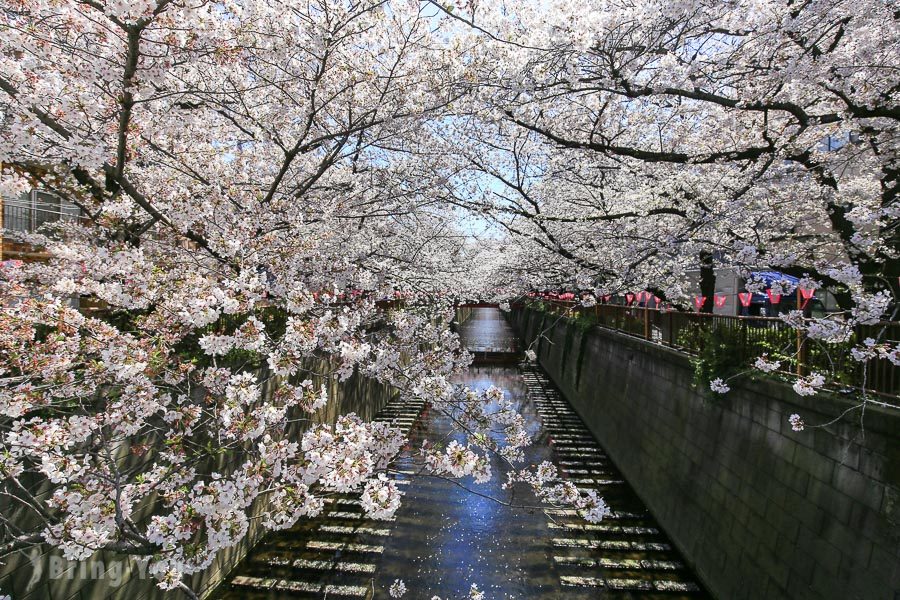 目黑川櫻花祭