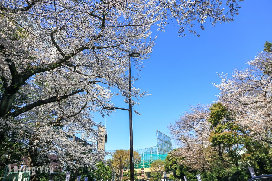 新宿御苑外苑景点