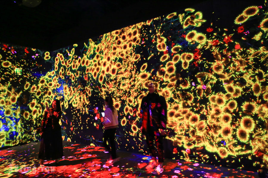 澳門威尼斯人teamLab 光影美術展