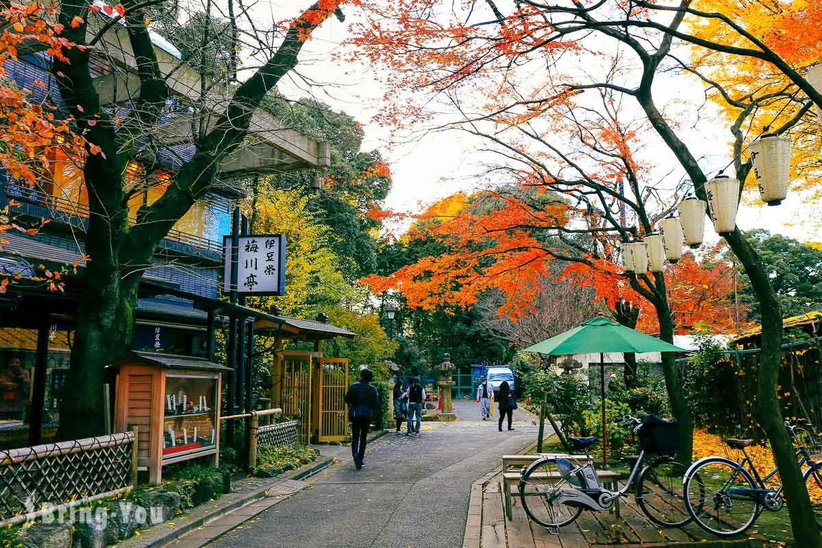 東京上野公園楓葉