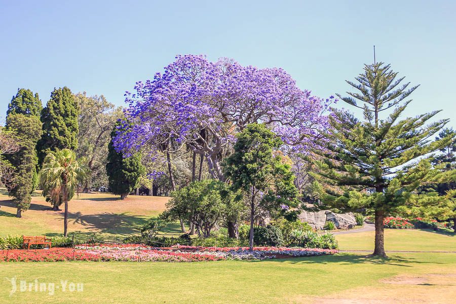 麥奎里夫人石椅(Mrs Macquarie’s Chair)