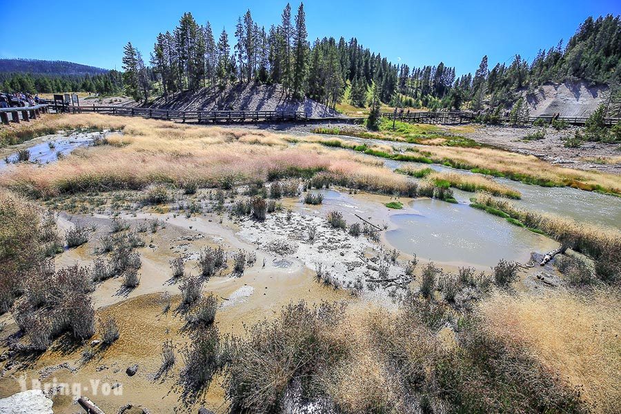 西姆指間歇泉盆地 West Thumb Geyser Basin