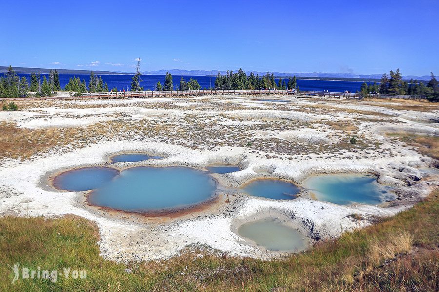 西姆指間歇泉盆地 West Thumb Geyser Basin