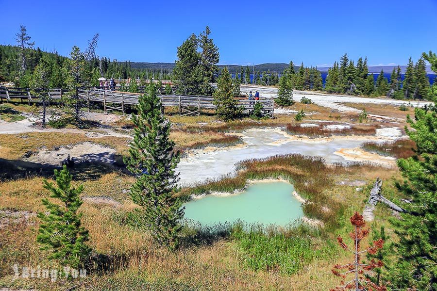 西姆指間歇泉盆地 West Thumb Geyser Basin