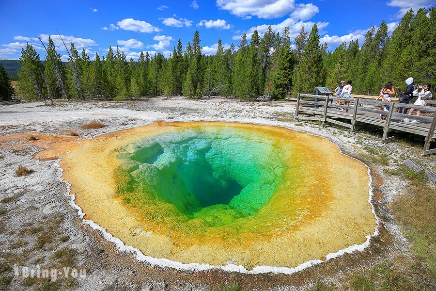 牽牛花池 Morning Glory Pool