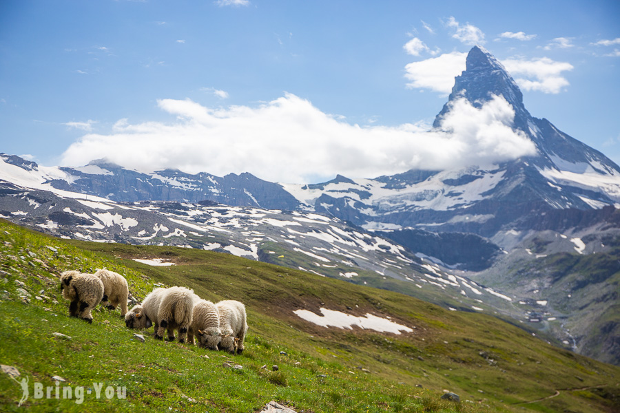 阿尔卑斯山旅游