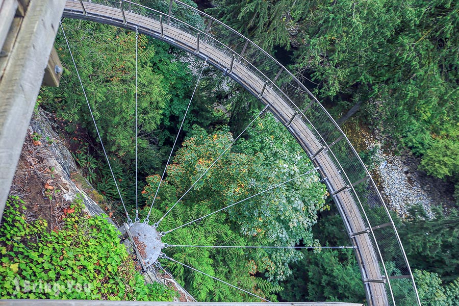 卡皮拉諾吊橋公園(Capilano Suspension Bridge Park)