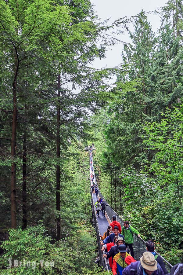 卡皮拉諾吊橋公園(Capilano Suspension Bridge Park)