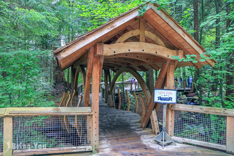 卡皮拉諾吊橋公園(Capilano Suspension Bridge Park)