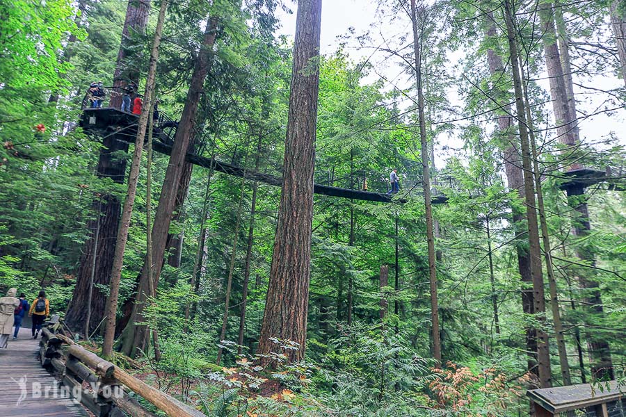 卡皮拉諾吊橋公園(Capilano Suspension Bridge Park)