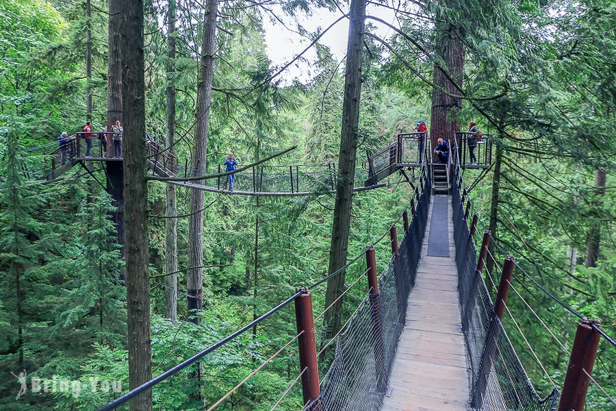 卡皮拉諾吊橋公園(Capilano Suspension Bridge Park)