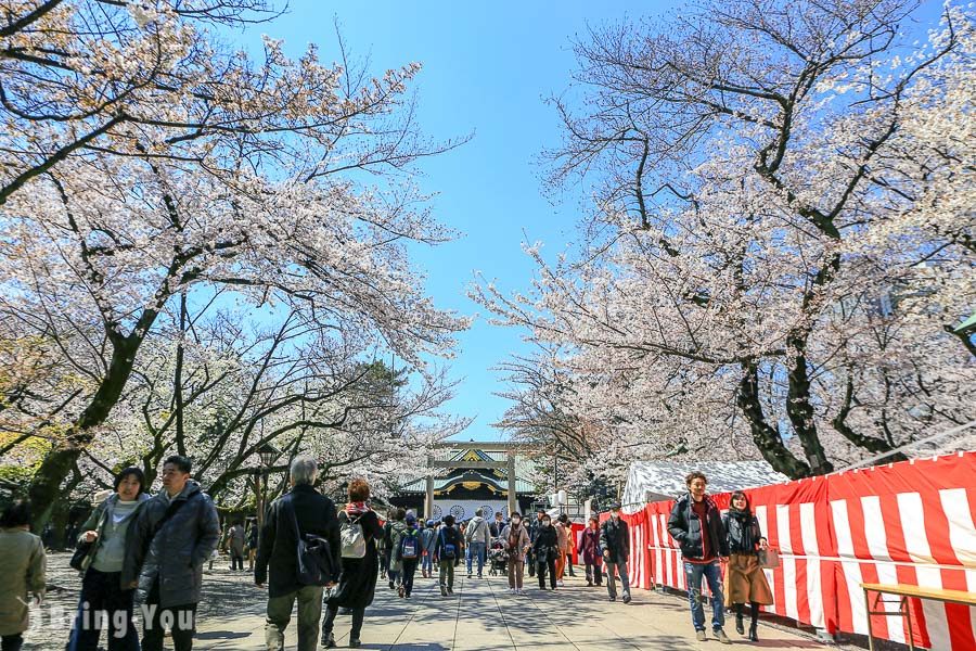 靖國神社賞櫻