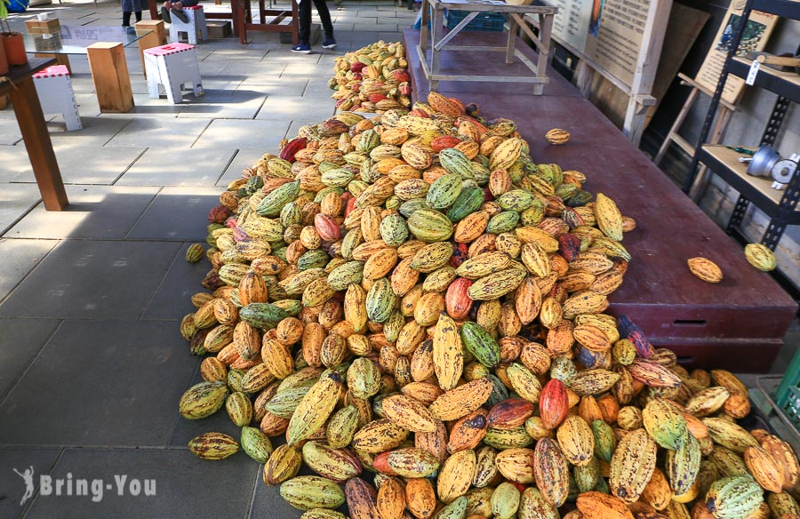 墾丁阿信巧克力農場