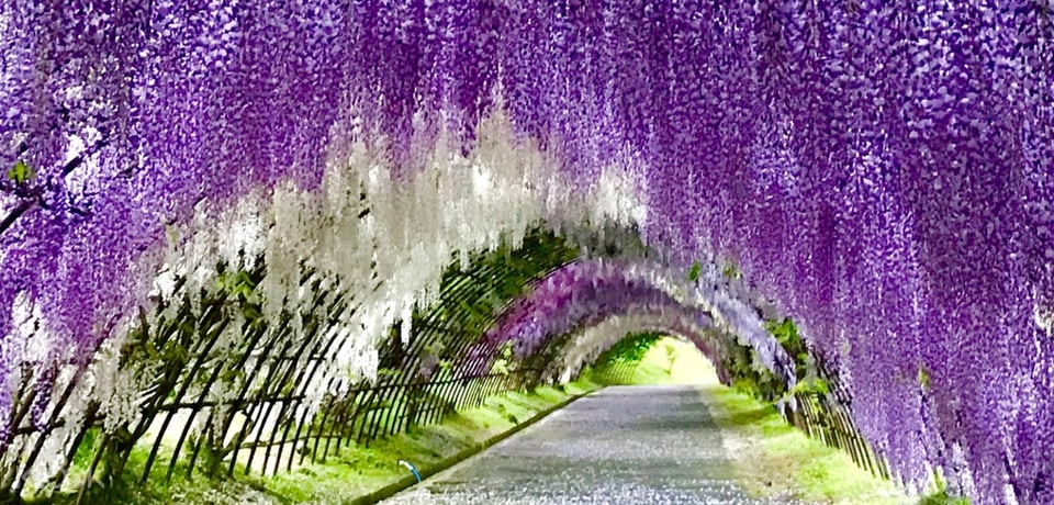 福岡一日遊景點