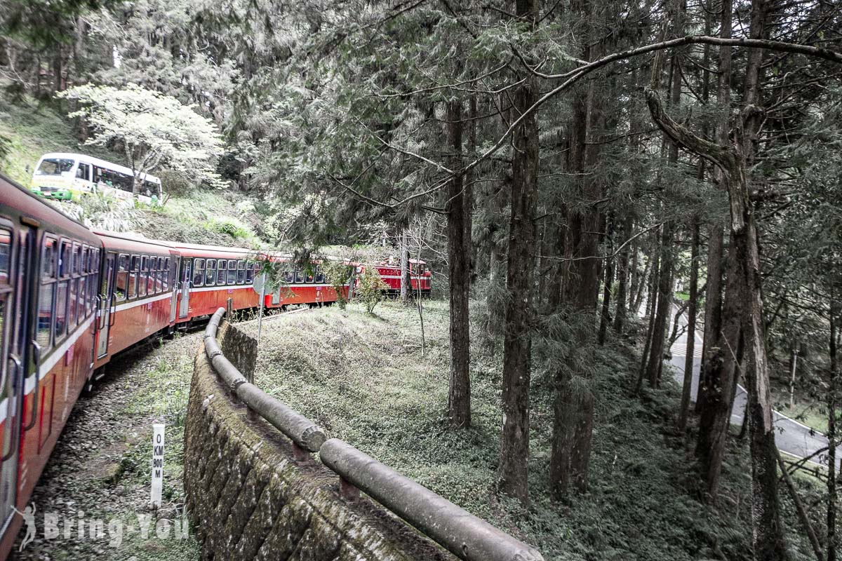 阿里山小火車