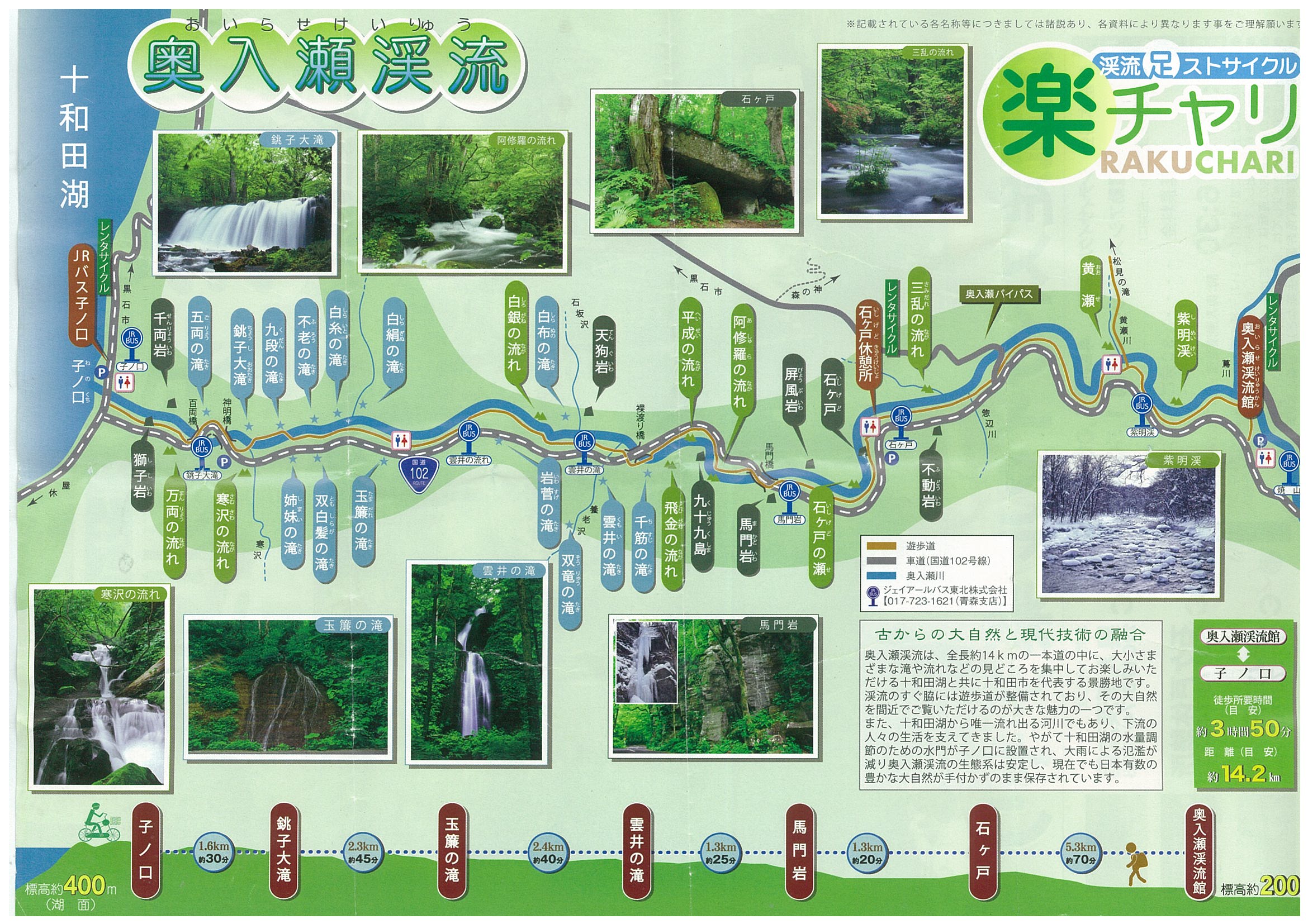 奥入濑溪流夏天新绿