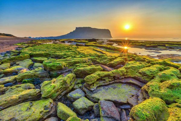 【濟州島自由行攻略】韓國濟州島旅遊行前準備&行程規劃路線懶人包
