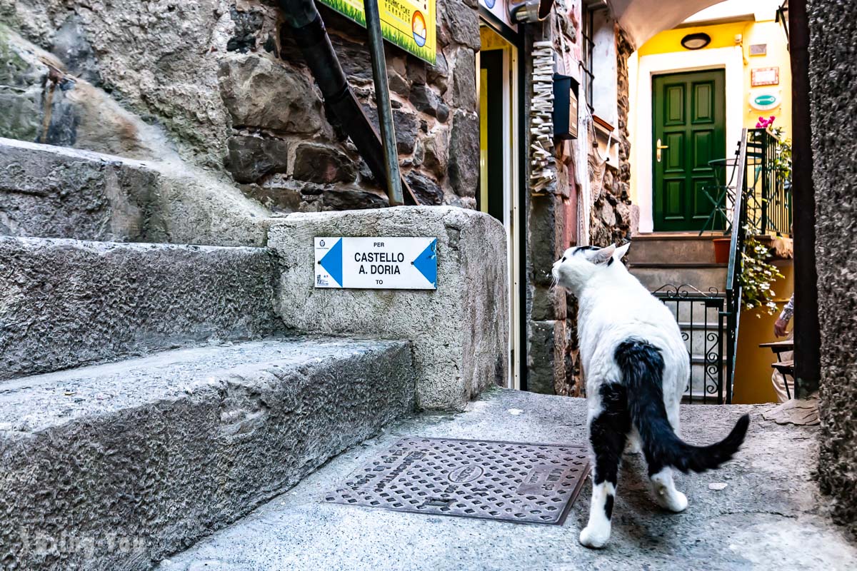義大利五漁村第四村Vernazza 韋爾納扎景點