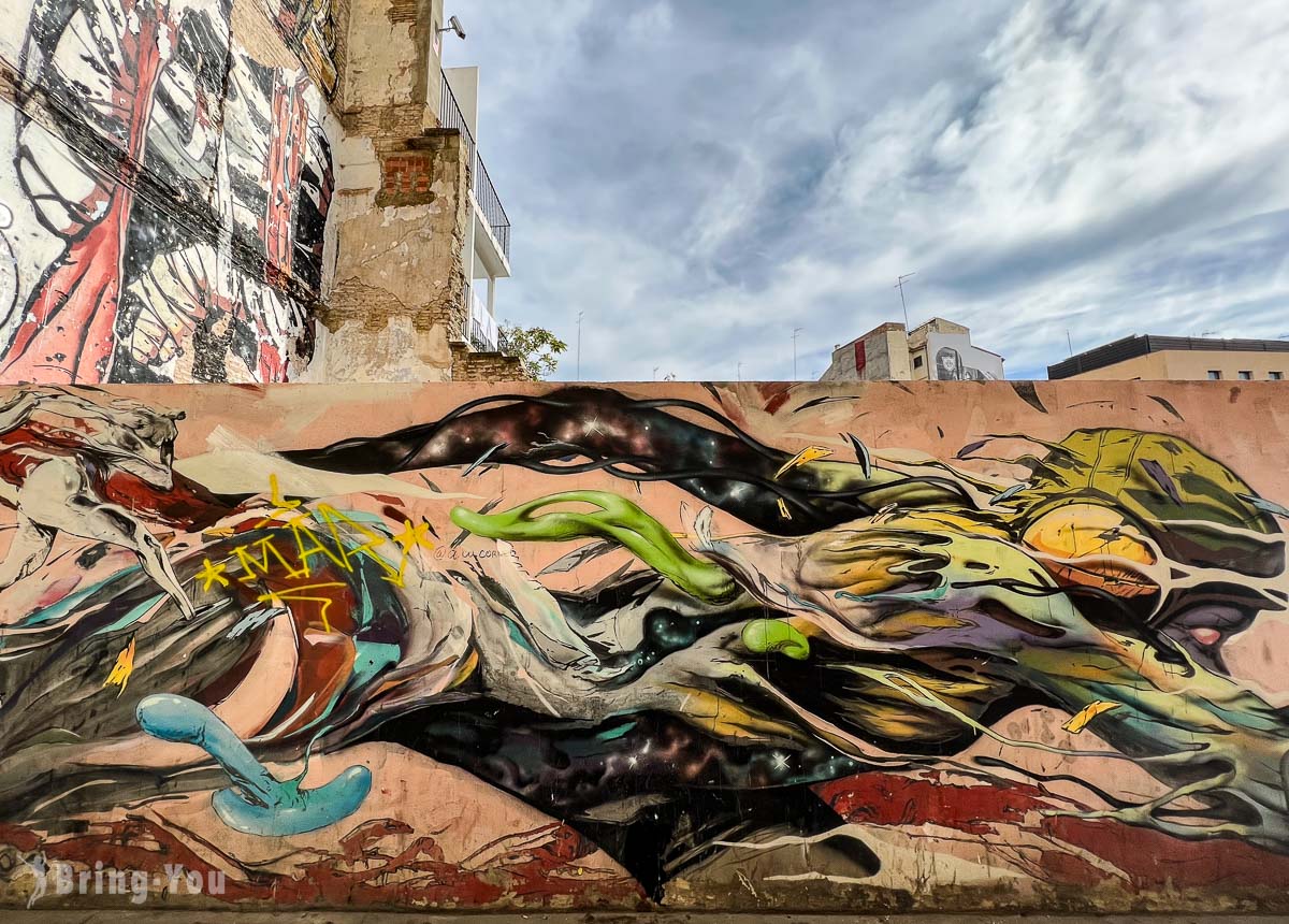 瓦伦西亚卡门区 Barrio del Carmen