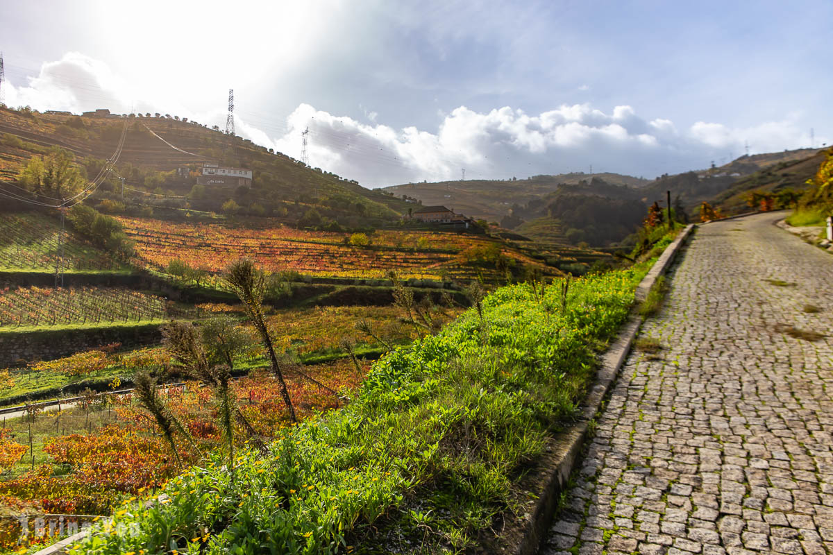 葡萄牙杜羅河谷六善飯店 Six Senses Douro Valley