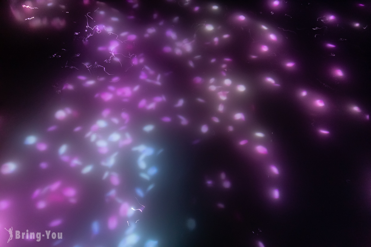丰洲 teamLab Planets TOKYO
