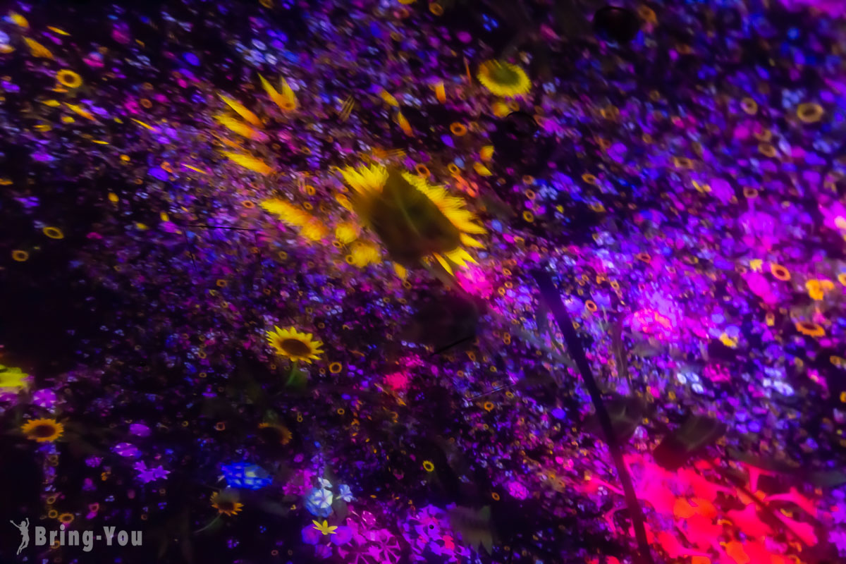 丰洲 teamLab Planets TOKYO