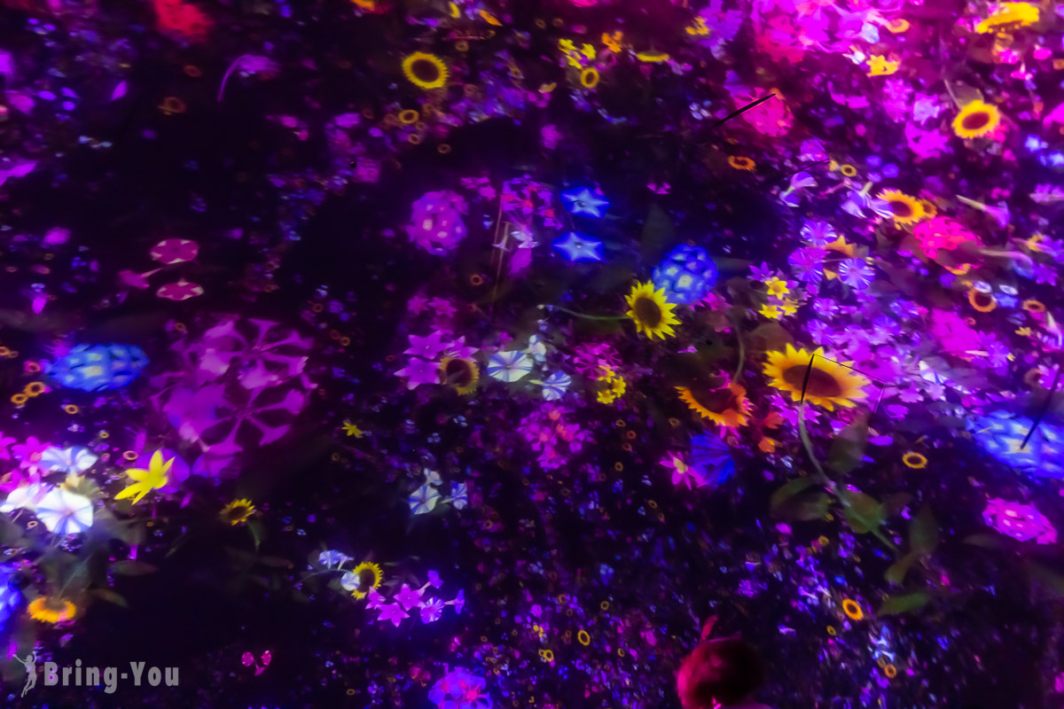 丰洲 teamLab Planets TOKYO