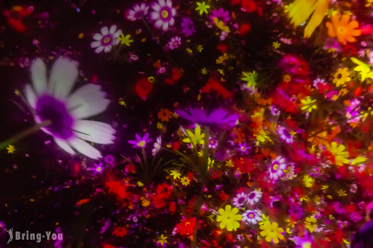 丰洲 teamLab Planets TOKYO