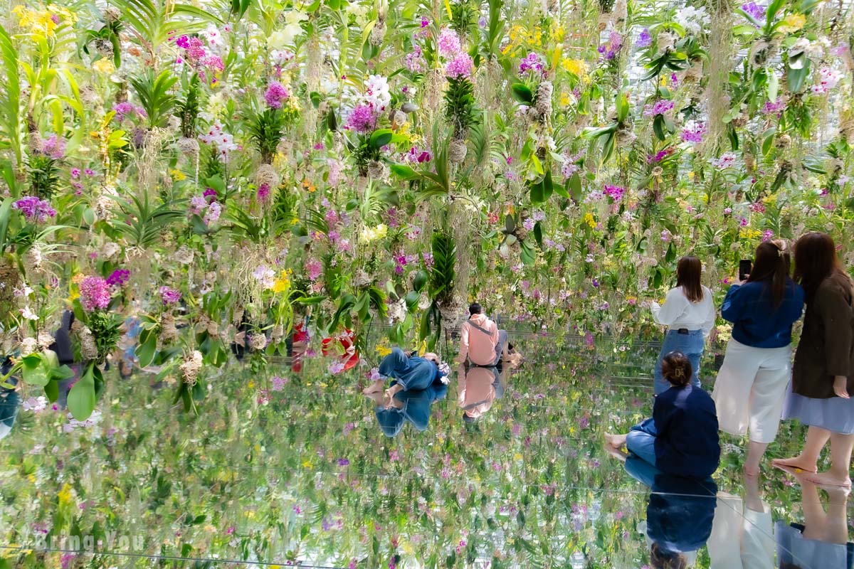 丰洲 teamLab Planets TOKYO