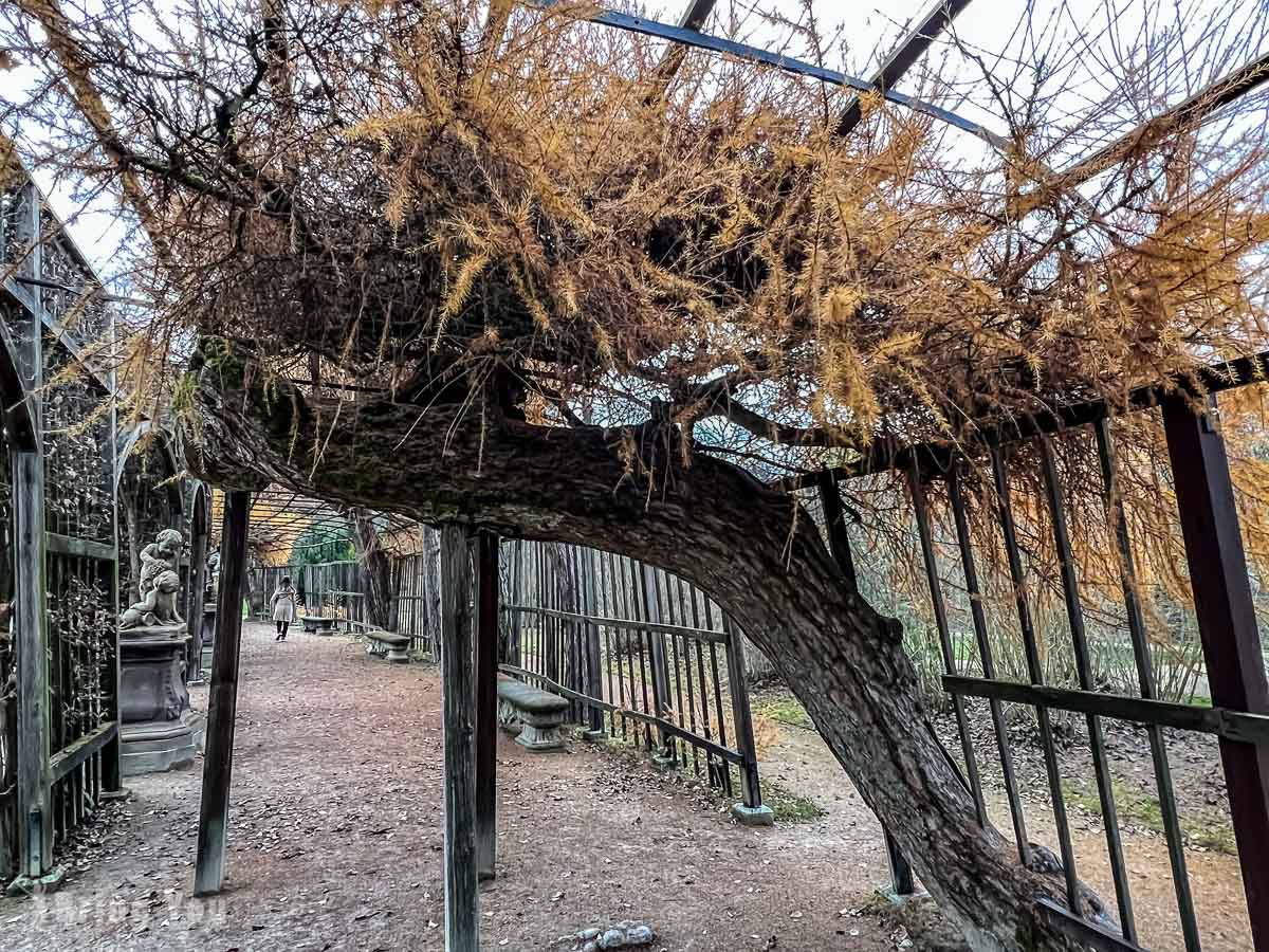 德國烏茲堡景點