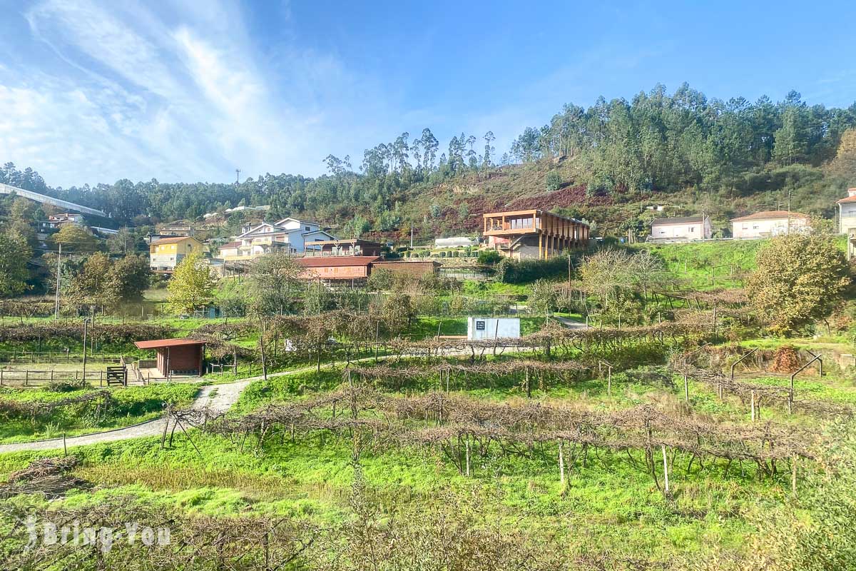 葡萄牙杜羅河谷火車沿路美景