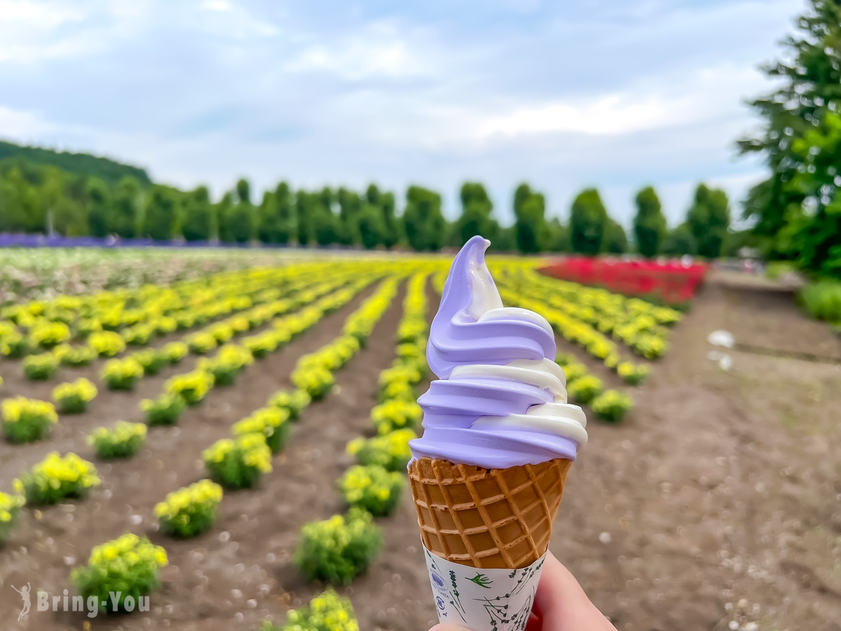 北海道富田农场