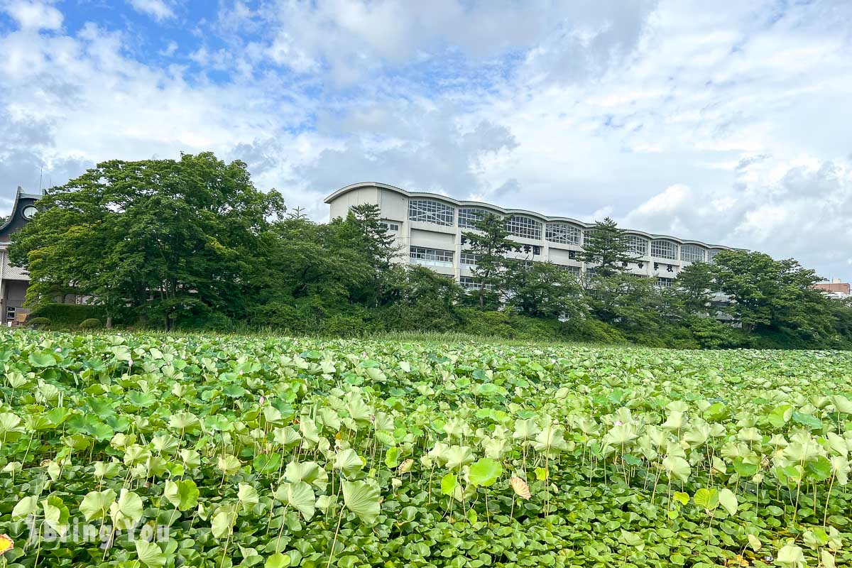 秋田景点