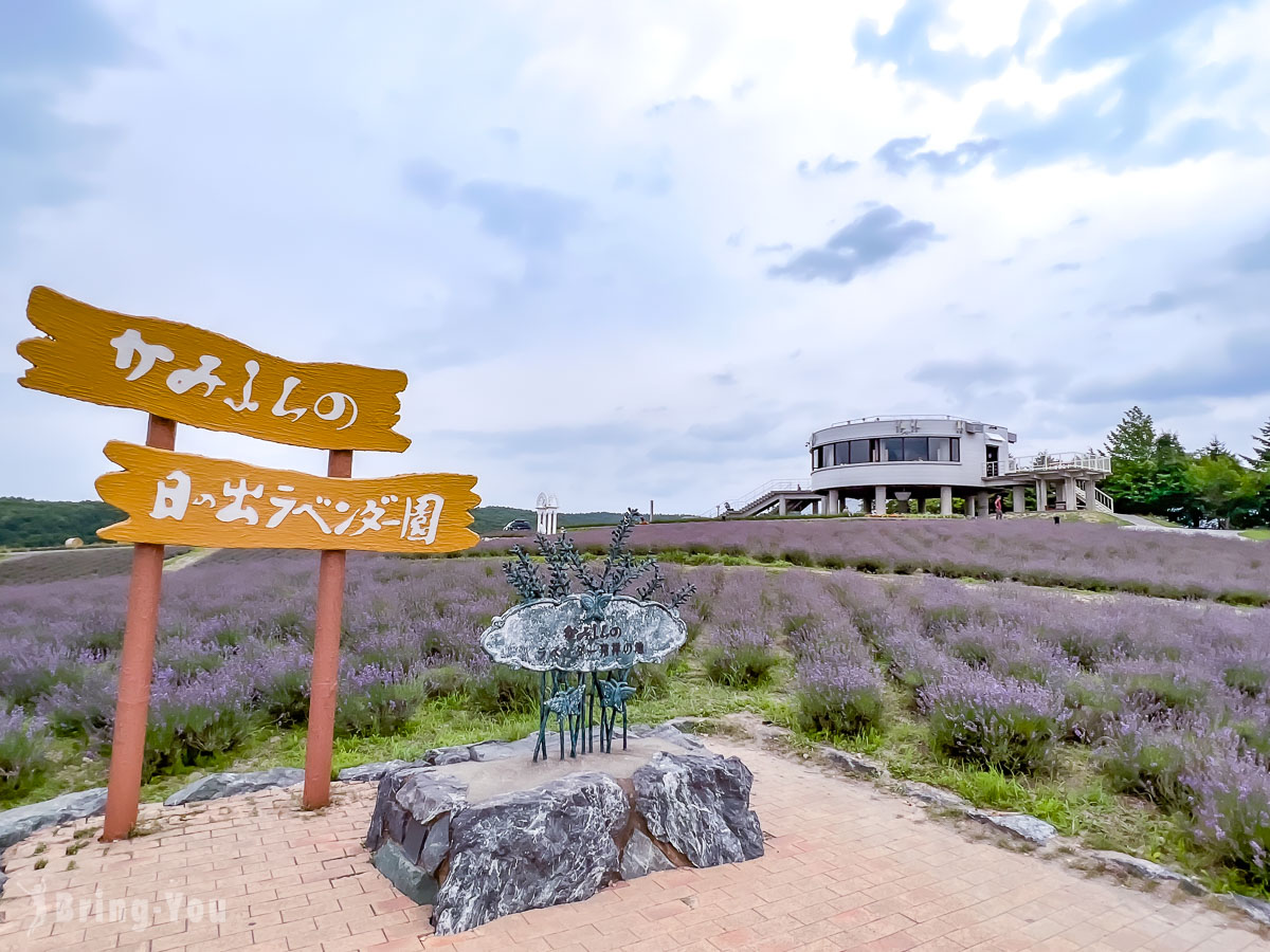 富良野日之出薰衣草園