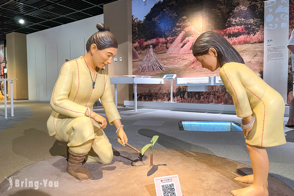 青森三內丸山遺跡