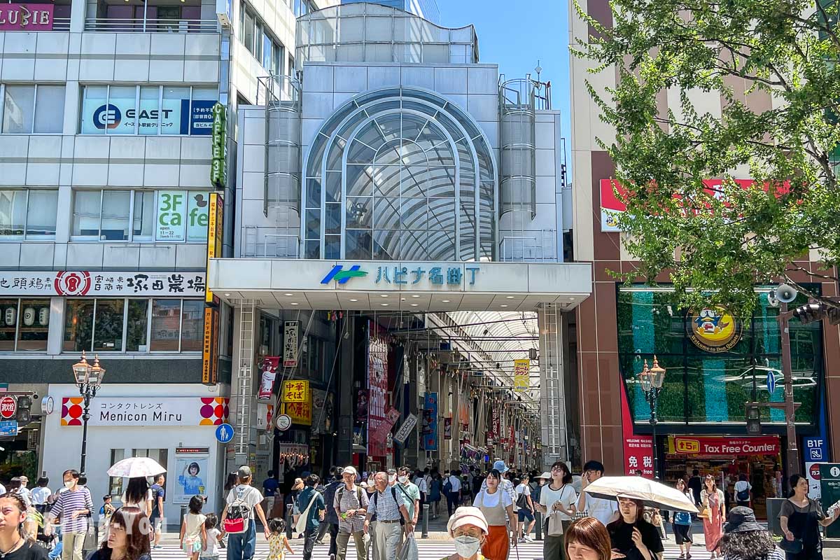 ハビナ名挂丁