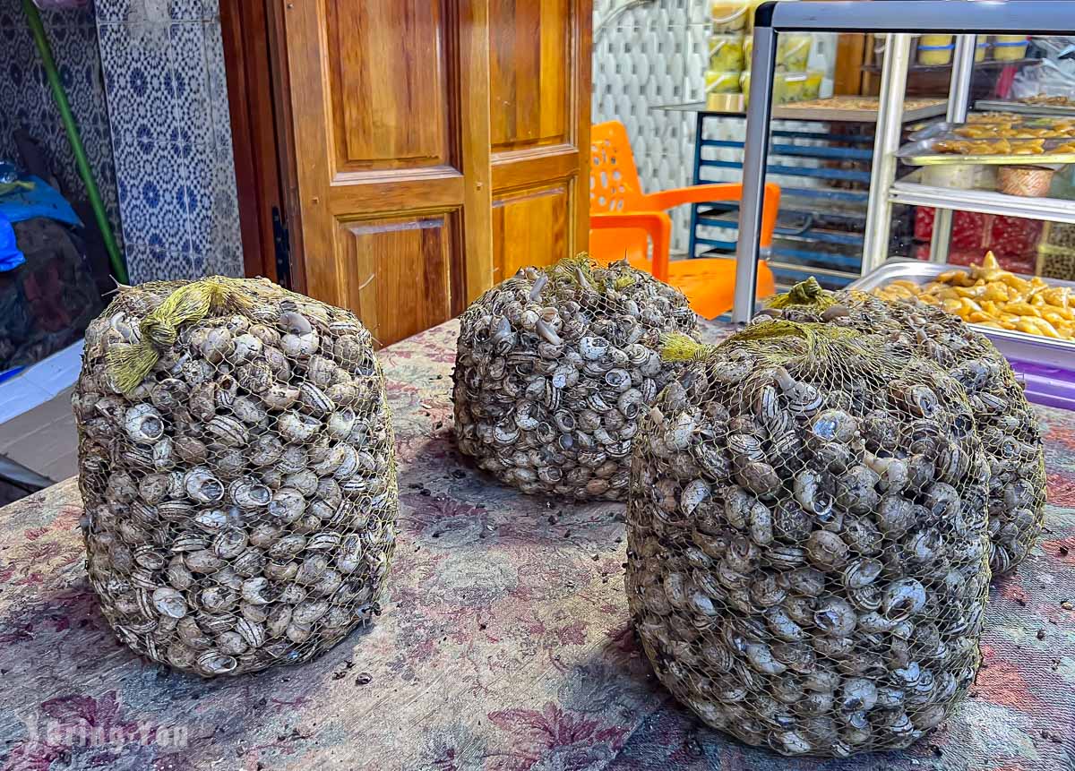 摩洛哥 菲斯古城 Fes