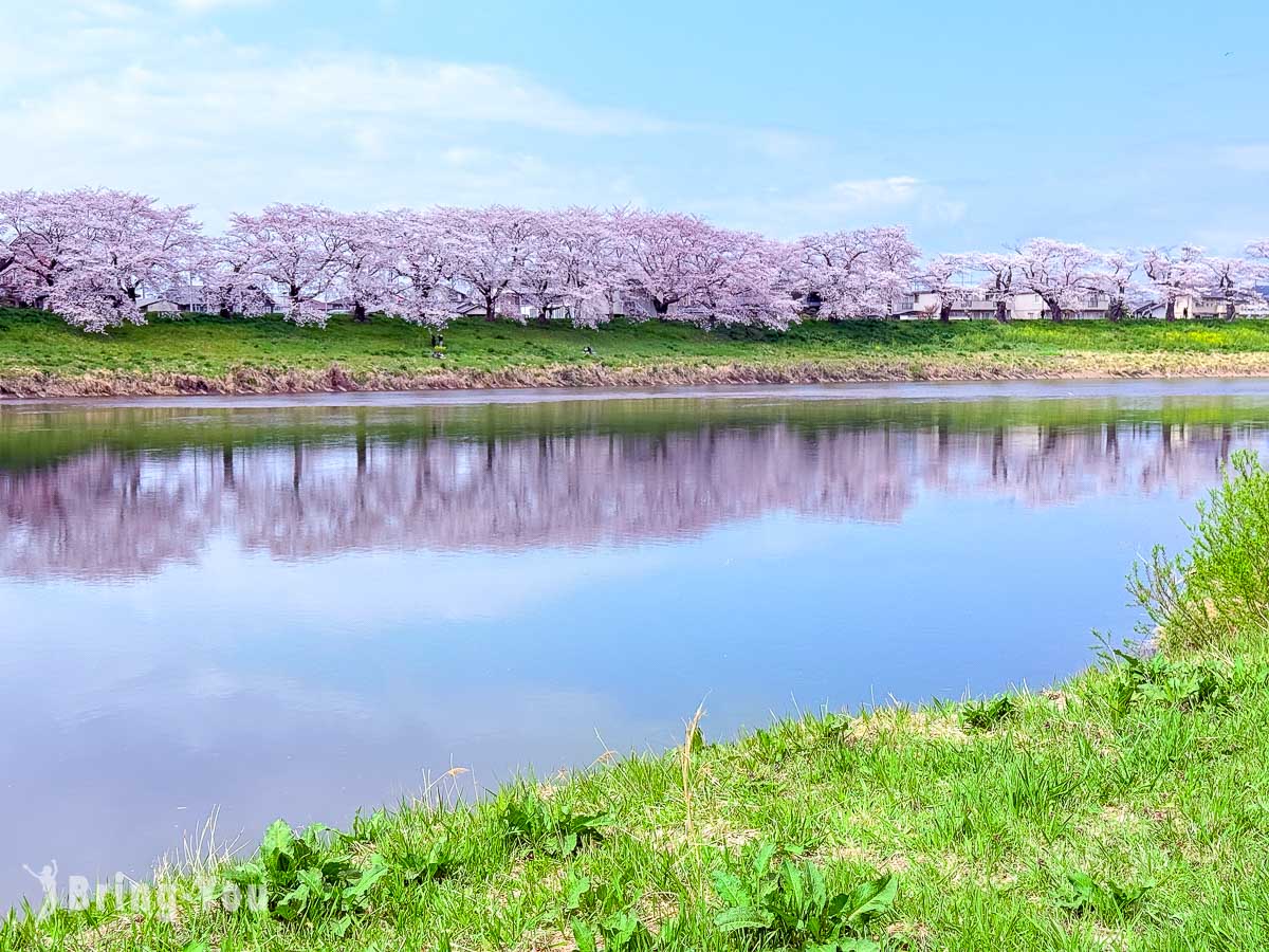 白石川堤一目千本櫻