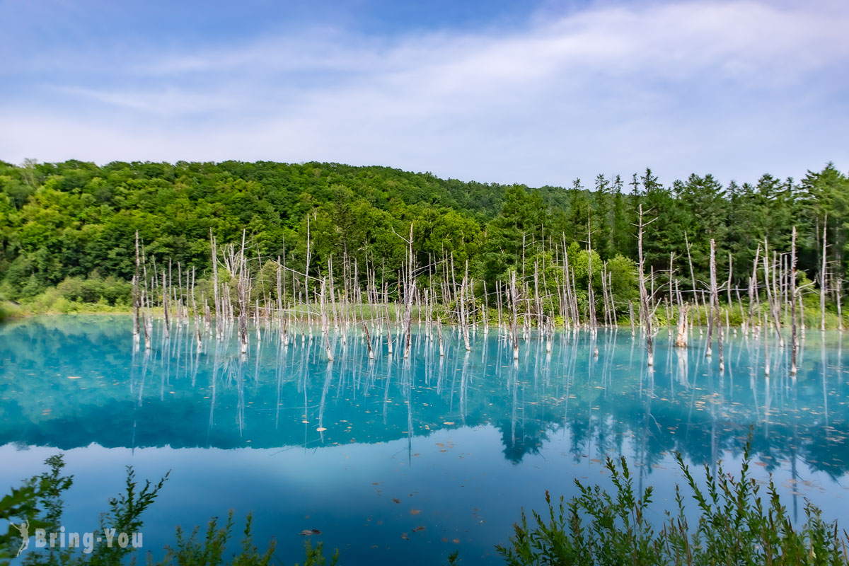 夏天北海道自由行景點攻略
