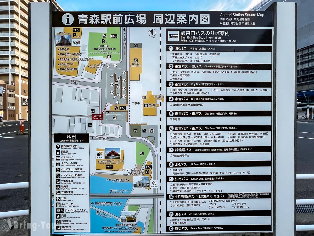奥入濑溪流夏天新绿