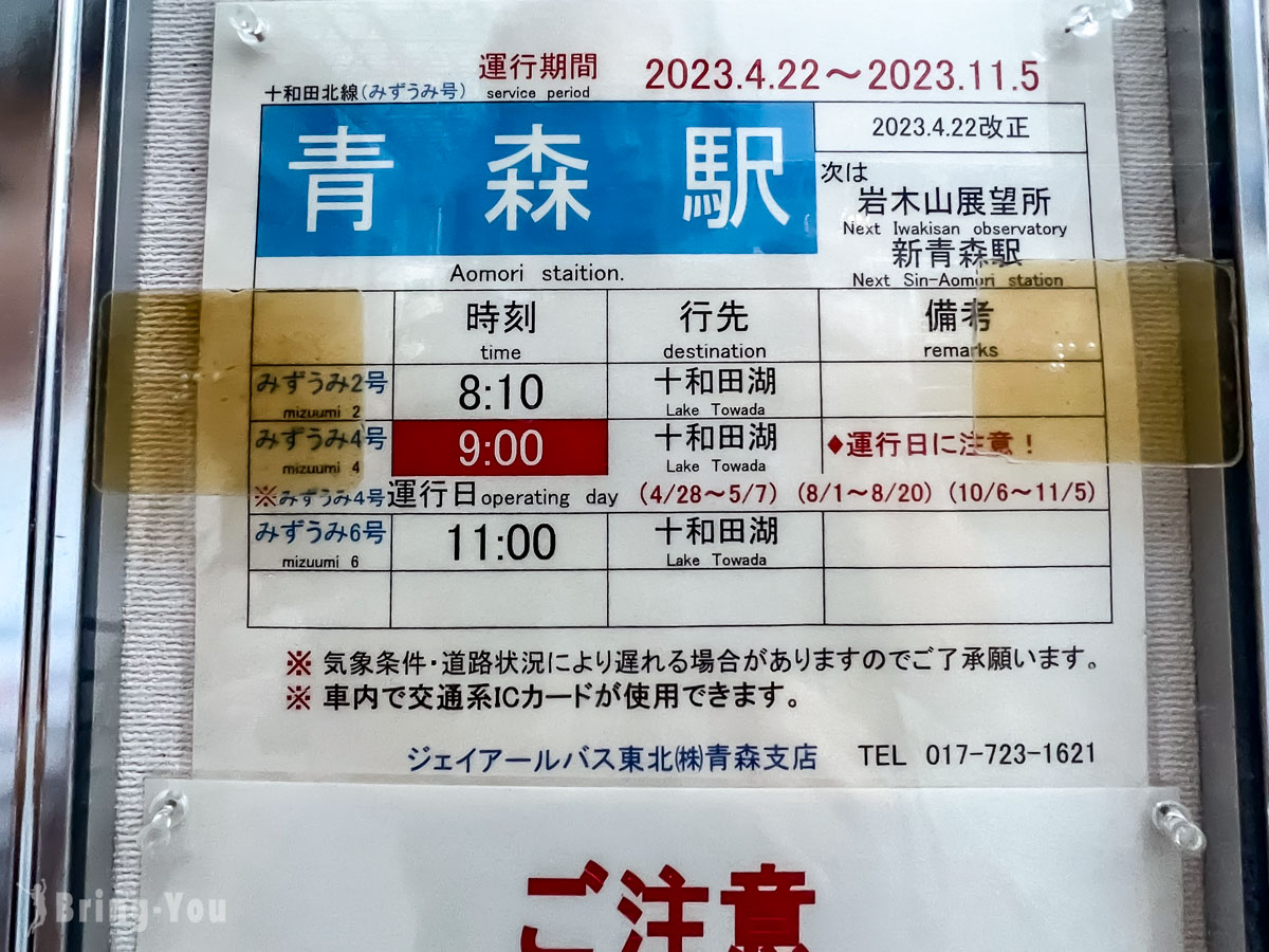 奥入濑溪流夏天新绿