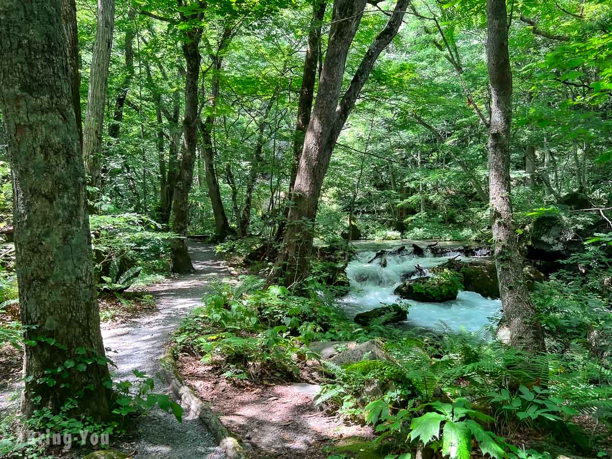 青森自由行攻略|青森景點