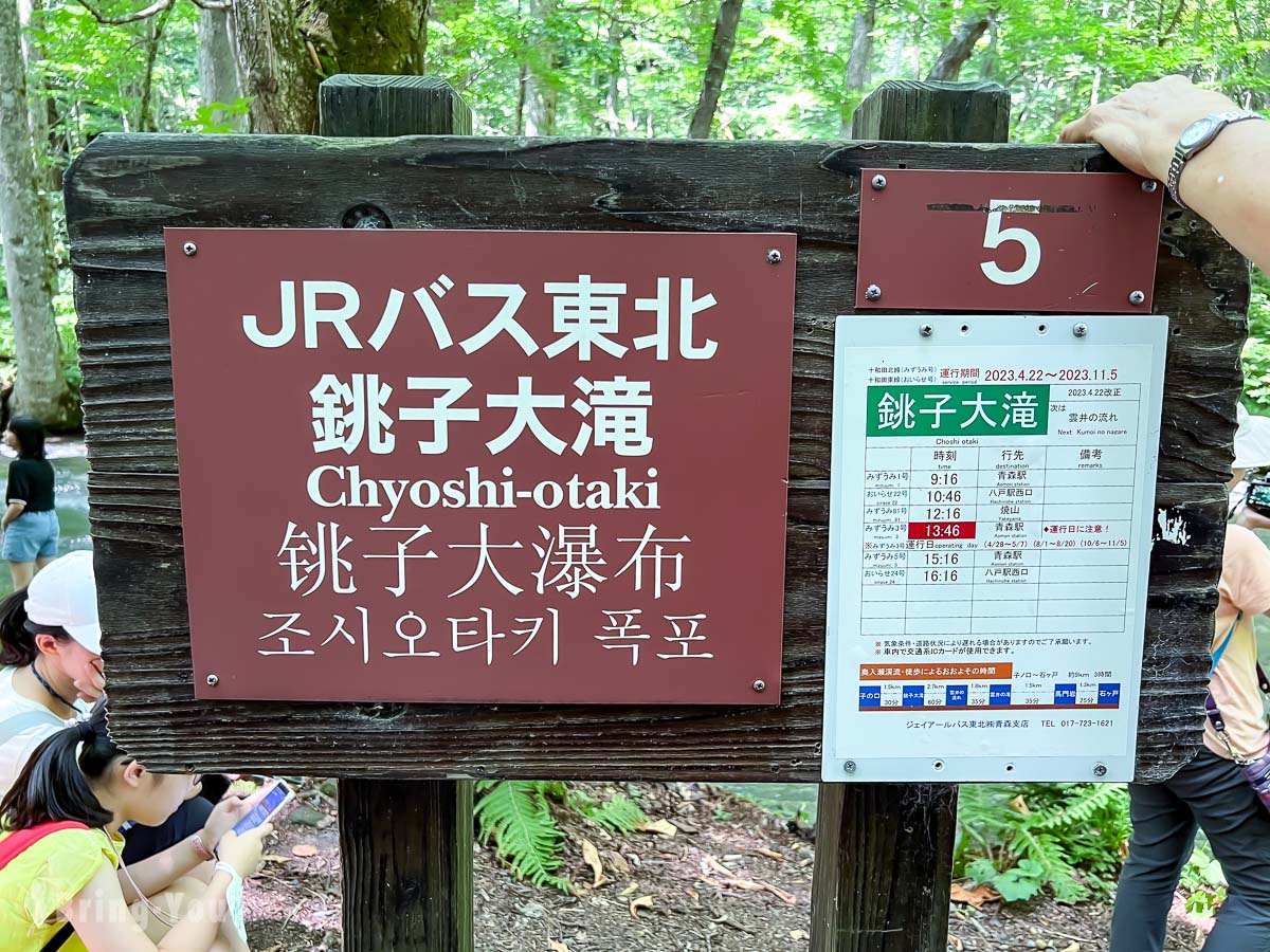 奥入濑溪流夏天新绿
